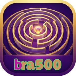 bra500